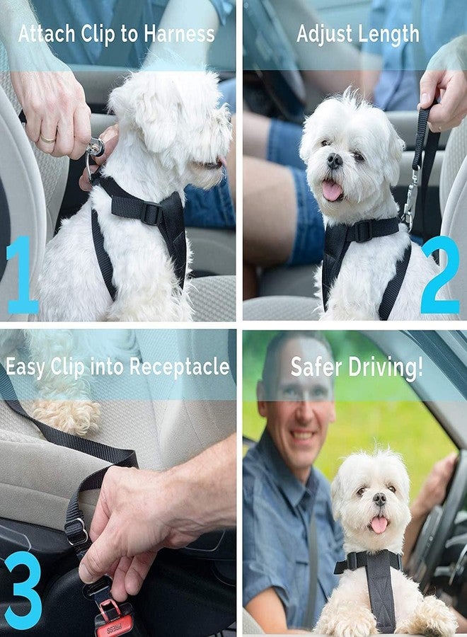 MIXEN Seat Belt for Dogs - Car Harness for Dogs - with Clip Hook Latch & Buckle,Adjustible, Elastic,Durable,Car Travel Accessories for Dogs, for Pet Dog Cat - Image 5
